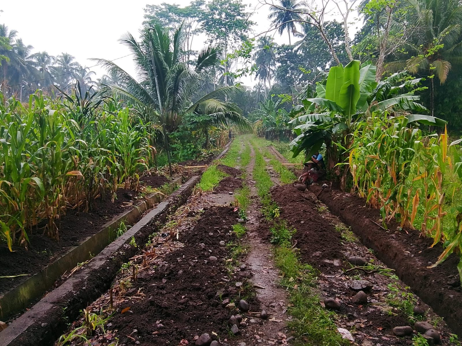 Jalan Becek Kini Mulus, Pemdes Bungko Bangun Paving Block Rp217 Juta di Dusun III