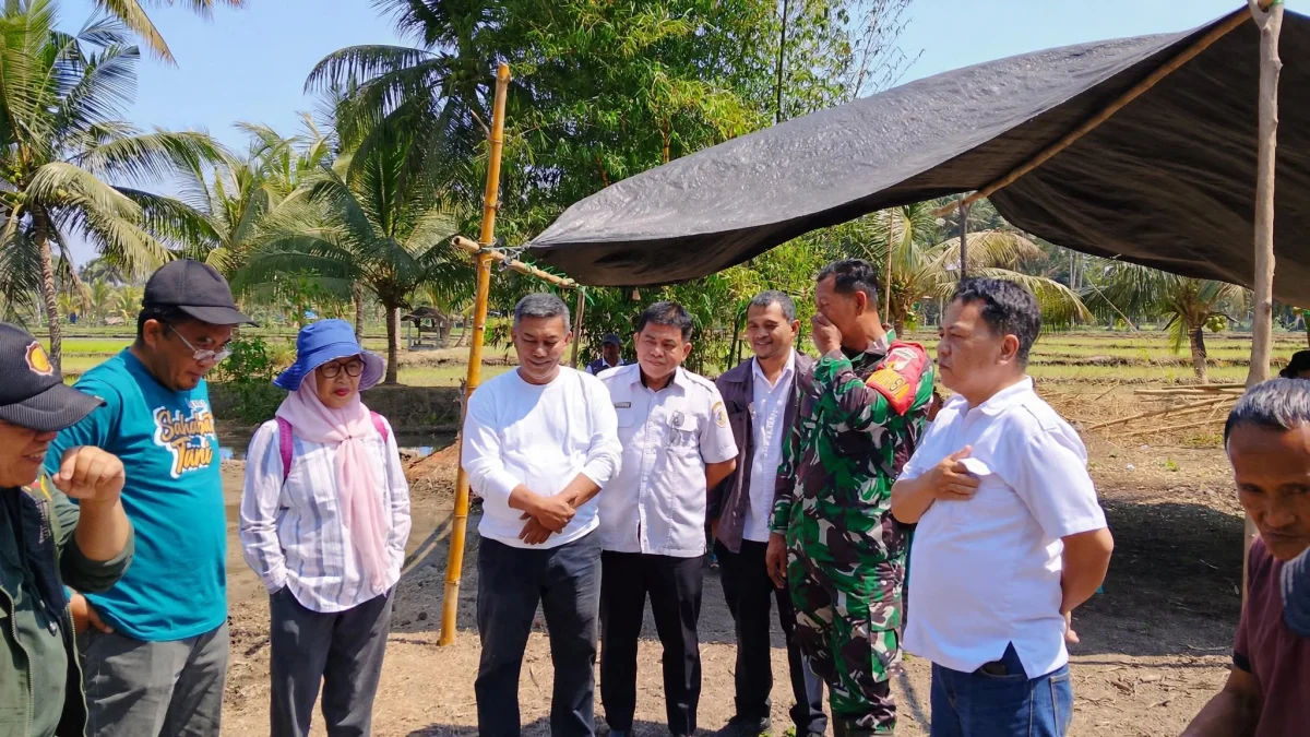 Dukung Ketahanan Pangan, Pemerintah Desa Bersama Dinas Pertanian Gelar Gerakan Tanam Padi Serentak di Kelompok Tani Ipodong